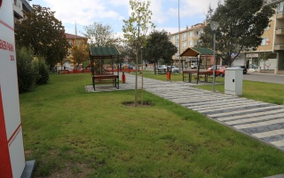 /seker parki/1s8a8737.JPG