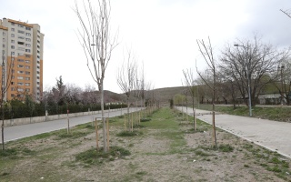 /mavi cam parki/hb4a9808.jpg