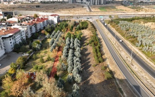 /neset ertas parki/dji-0395.JPG