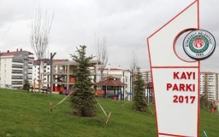 /kayi parki/kaya-parka-3.jpg