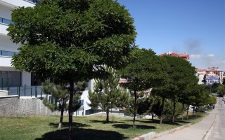 /elif parkı/07012019145936elif-park-4.jpeg