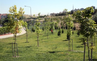 /metehan parkı/21012019105402metehan-parki-5.jpeg