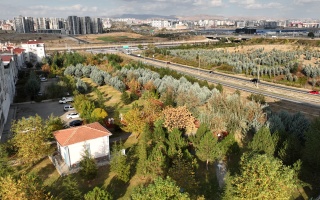 /neset ertas parki/dji-0392.JPG