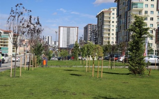 /derya parkı/07012019144638derya-1.jpeg