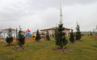 /cosan parki/coa-an-parka-cami-aevre-dazenlemesi-22.jpg