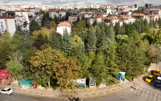 /karaca parki/dji-0508.JPG